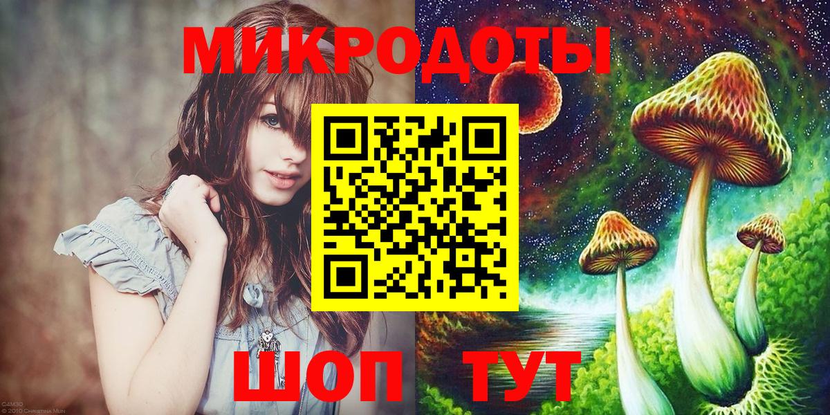 Галлюциногенные грибы Psilocybine cubensis Губкинский